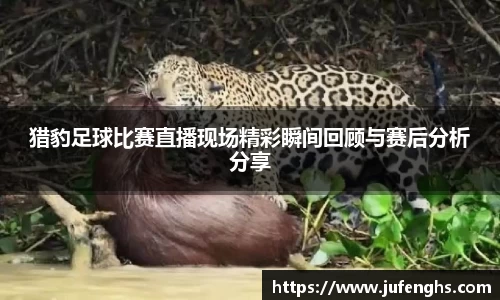 猎豹足球比赛直播现场精彩瞬间回顾与赛后分析分享