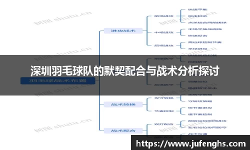 深圳羽毛球队的默契配合与战术分析探讨