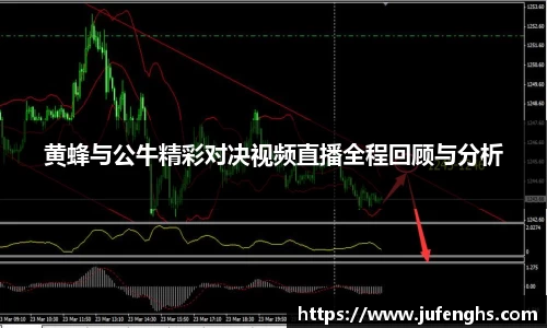 黄蜂与公牛精彩对决视频直播全程回顾与分析