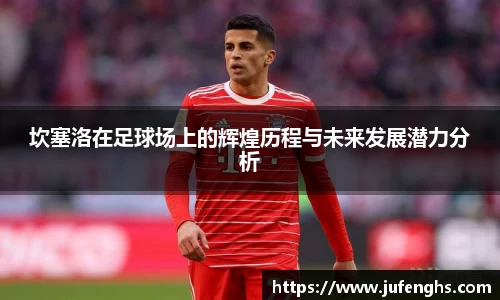 坎塞洛在足球场上的辉煌历程与未来发展潜力分析